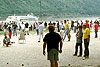 Bacharach 2002