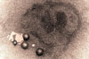 Fotowettbewerb 2002